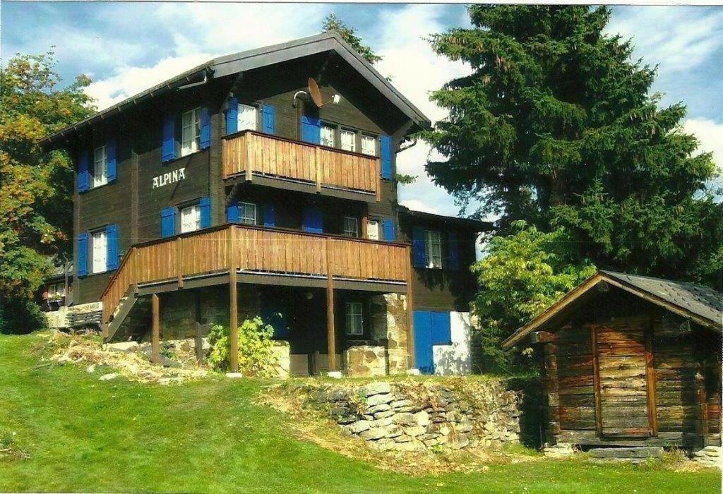 הוילה רידראלפ Chalet Alpina מראה חיצוני תמונה