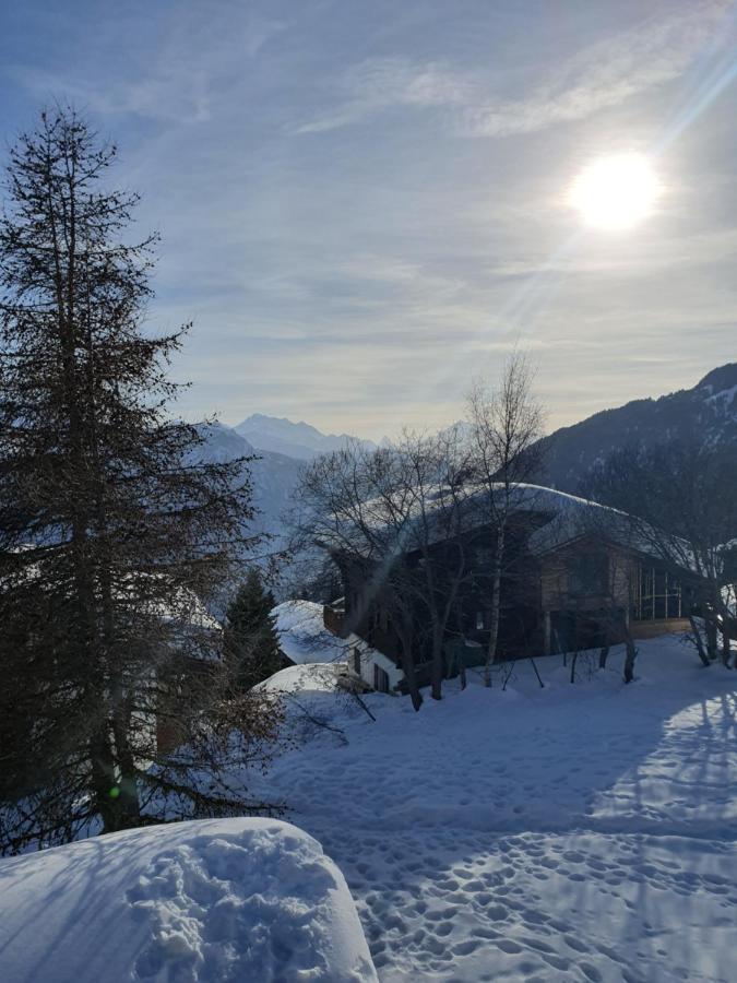 הוילה רידראלפ Chalet Alpina מראה חיצוני תמונה